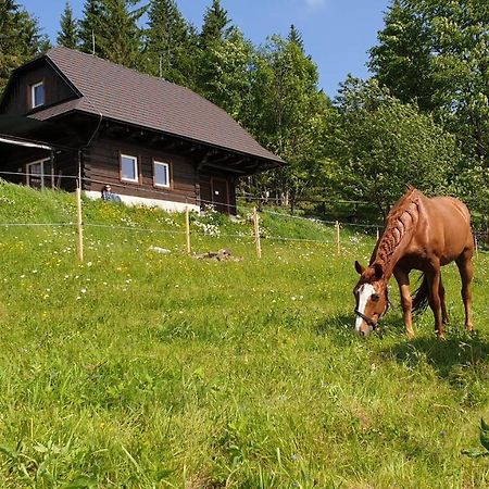 Panorama Ranc Villa Jezici Dış mekan fotoğraf
