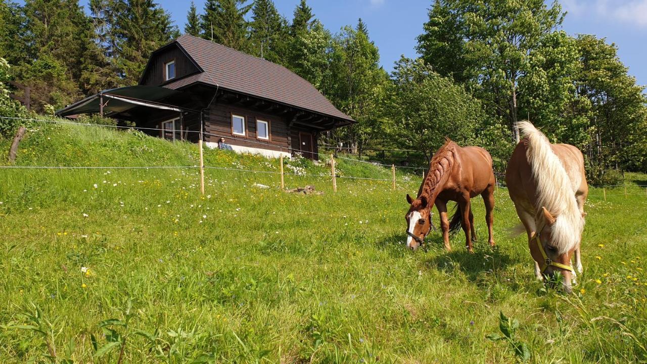 Panorama Ranc Villa Jezici Dış mekan fotoğraf